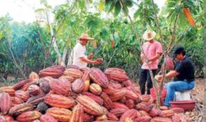 Bienvenidos Inversiones y Proyectos Empresariales Comerciales Chica La Farina S.A.S